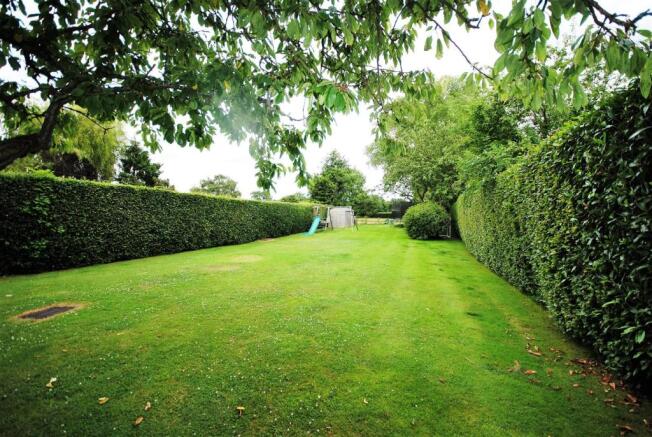 rear garden July.JPG