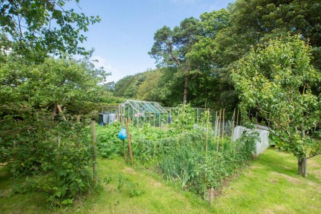 Vegetable Garden/GH