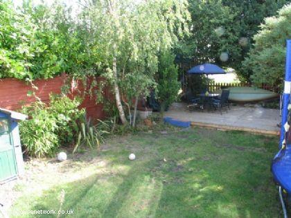 Photo 35