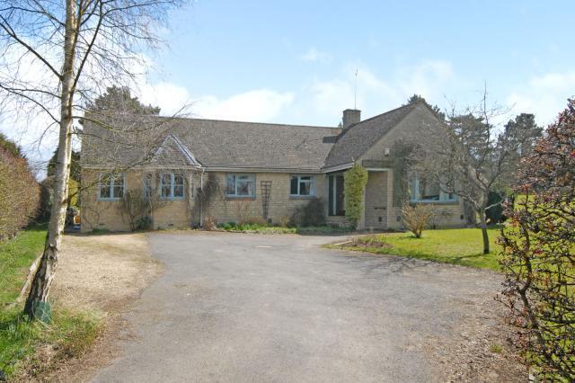 Main Photo
