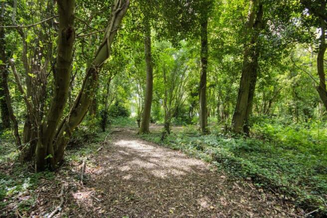 Woodland