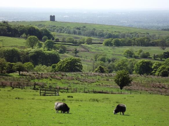 Lyme Park Cage