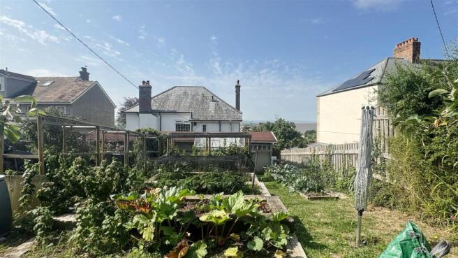 Back Garden 2.jpg