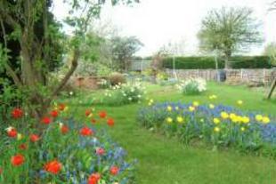 CORNER PLOT GARDEN