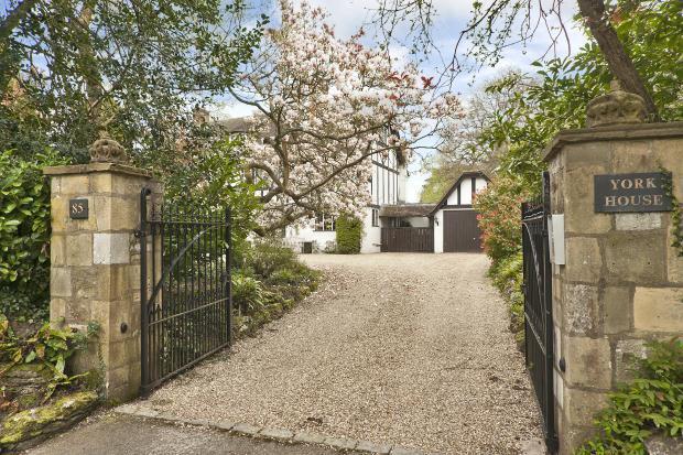 Picture No. 11