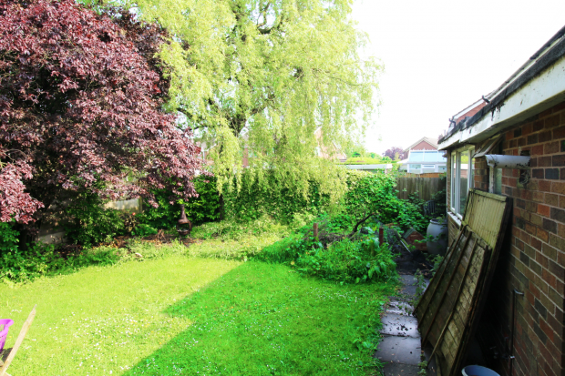 Back Garden 