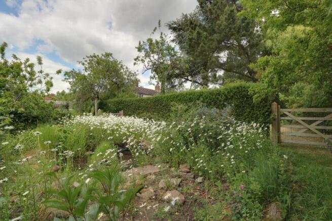 Wild Flower Garden