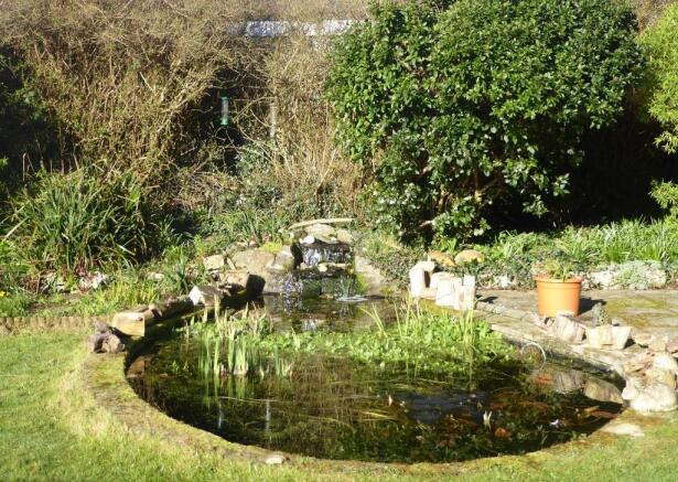 Wild Life pond