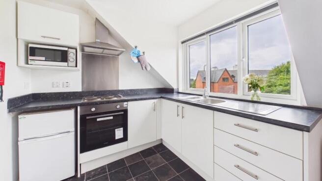 Kitchen/Living/Bedroom