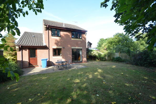 Photo 11