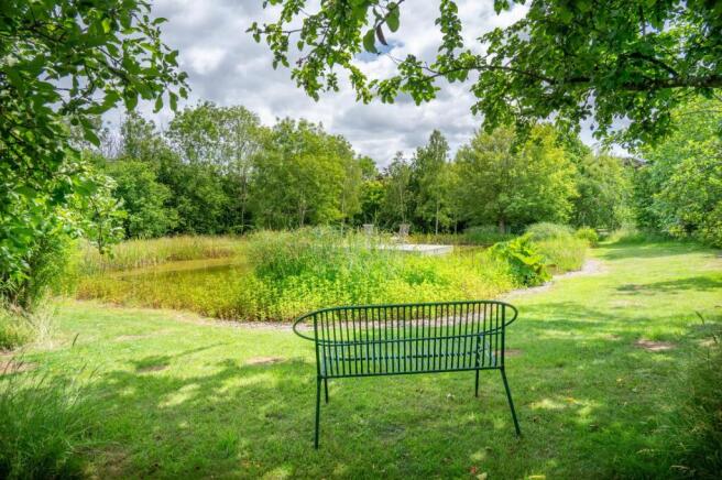Swimming Pond