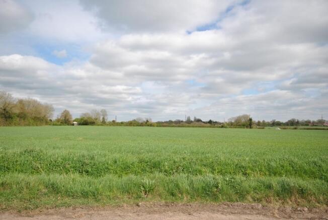 Field views