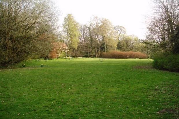 Photo 4