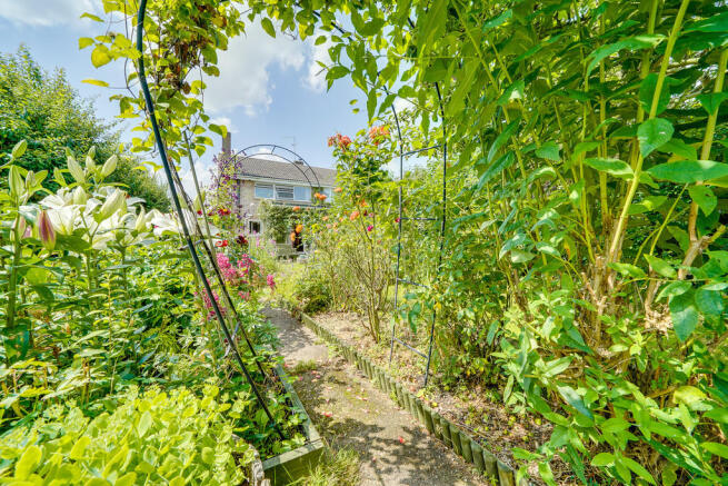 Back Garden