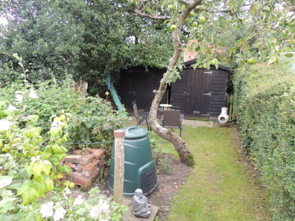 Photo 19