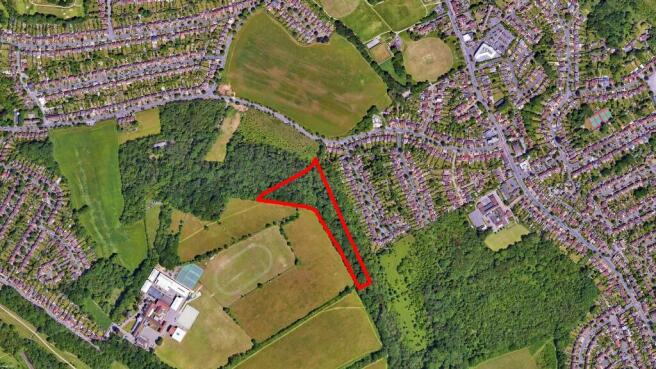 Riddlesdown Woodland