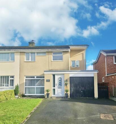 PHOTO-2026-02-16-09-21-27 (14).jpg