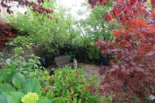 Rear Garden Area
