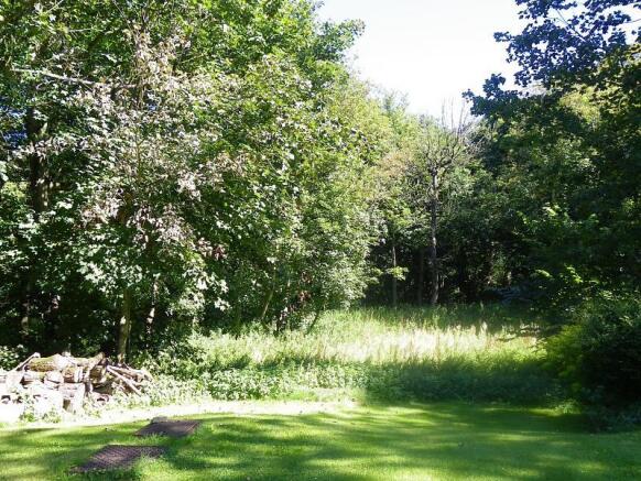 Woodland