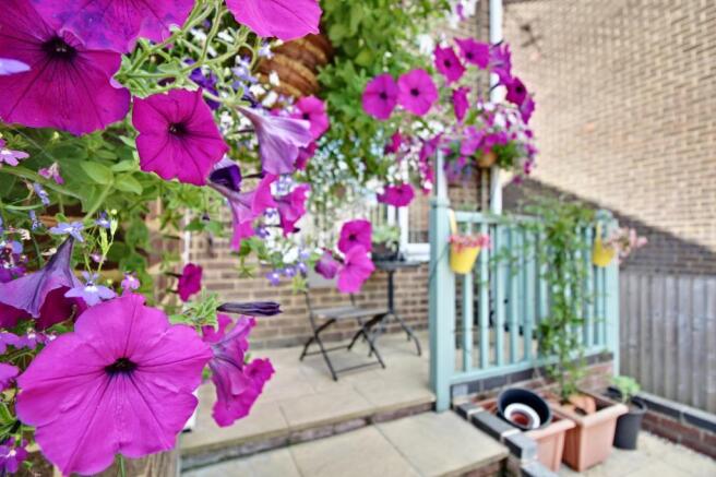 Garden at Back