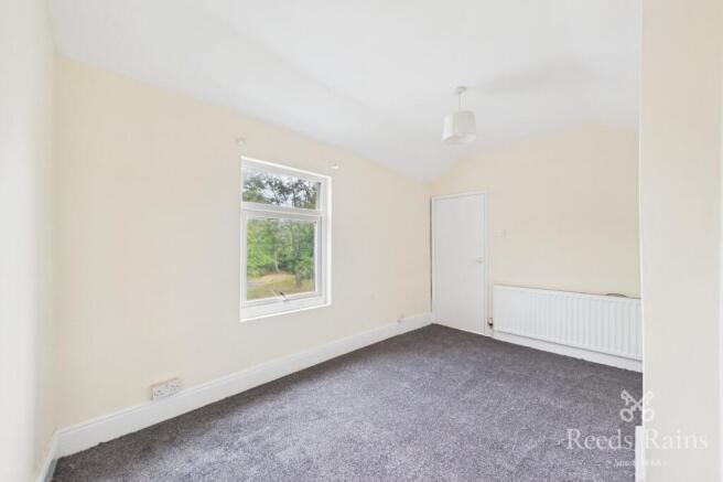 Living/Bedroom