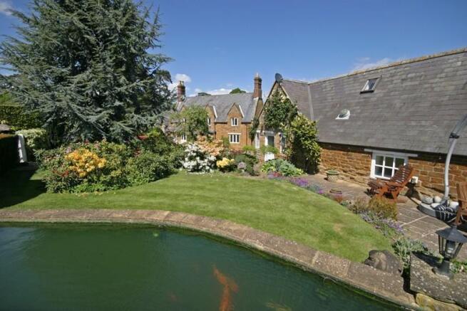 Koi carp pond