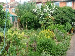 GARDEN