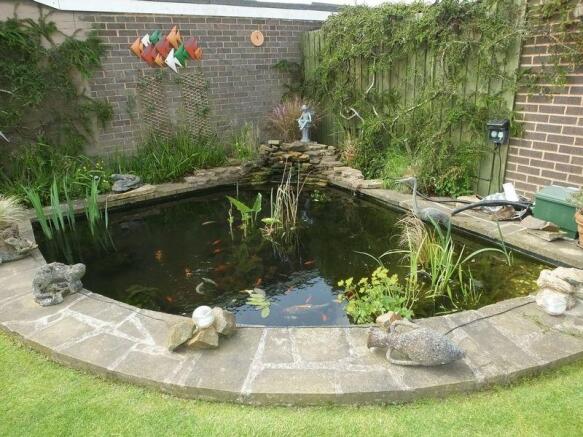 Fishpond