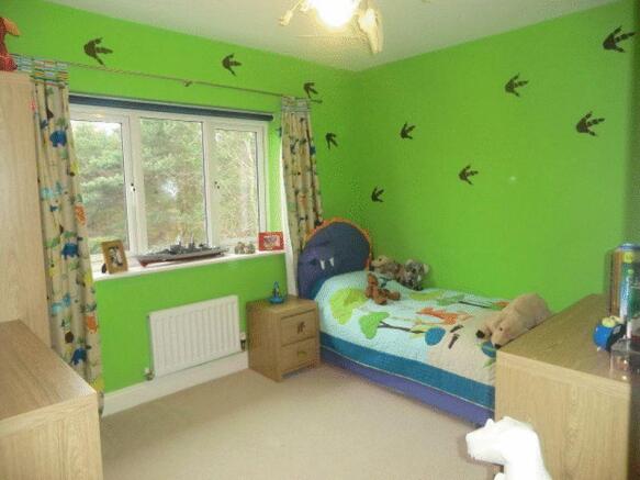 Photo 11