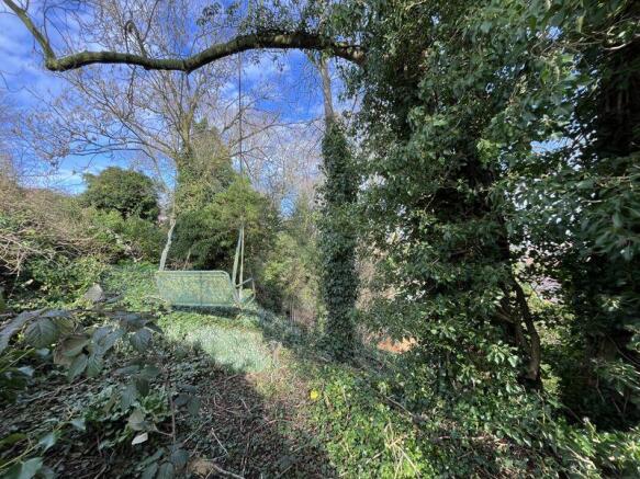 Woodland Top Area