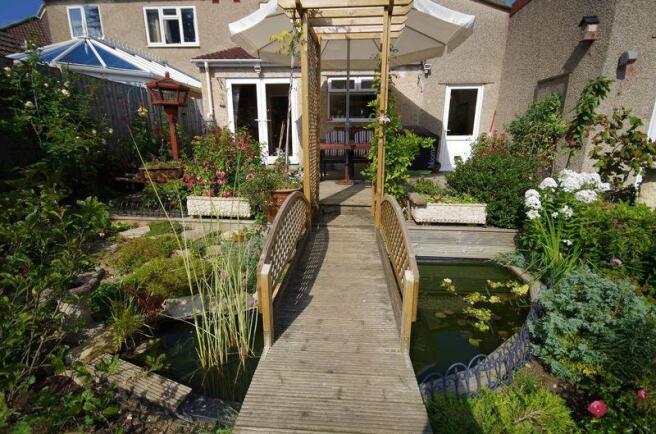 Pond