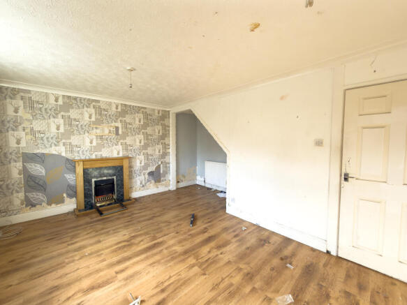 IMG 2738 T202602201500.jpg