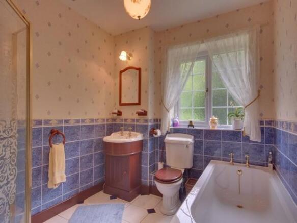 Photo 11