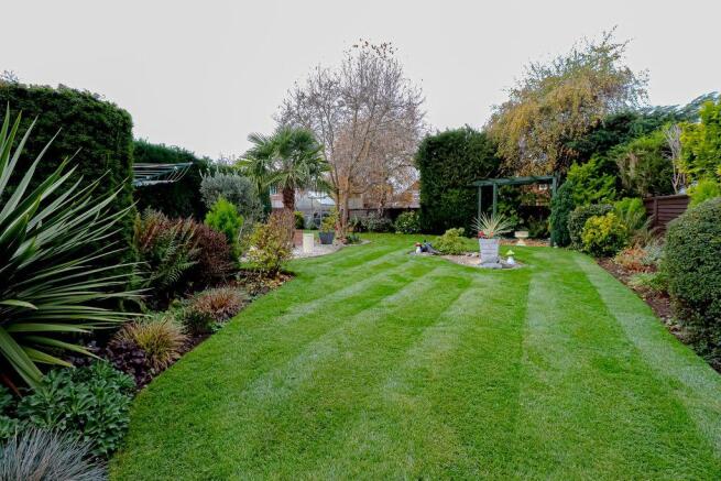 Garden at Back