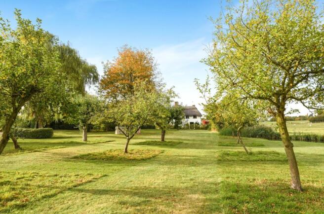 Orchard