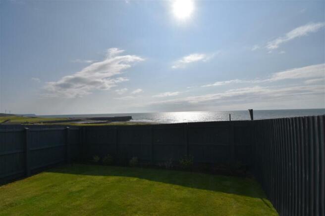 View from Garden
