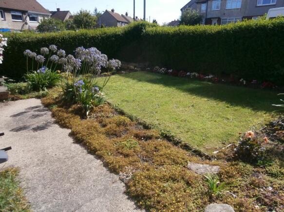 Image 12