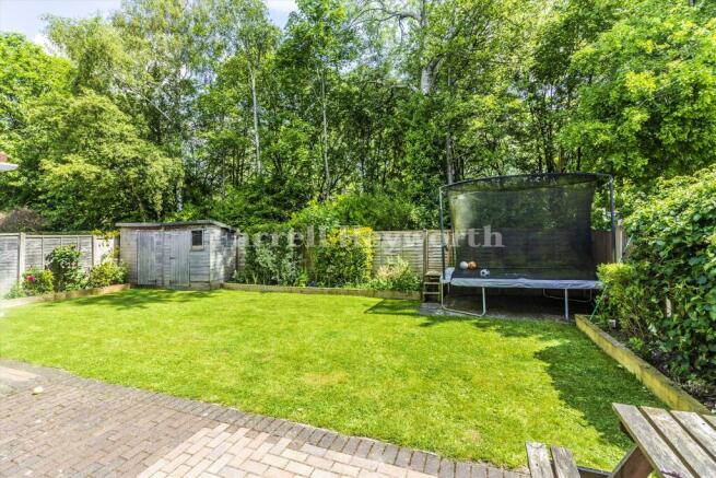 Rear Garden image 2