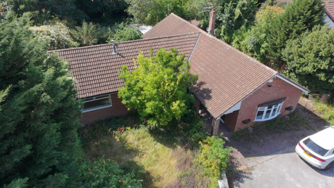 Dji fly 20260811 143050 0273 1786462608106 photo