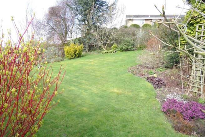 Side garden