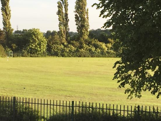 Playing Field View