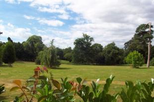 Parkland views