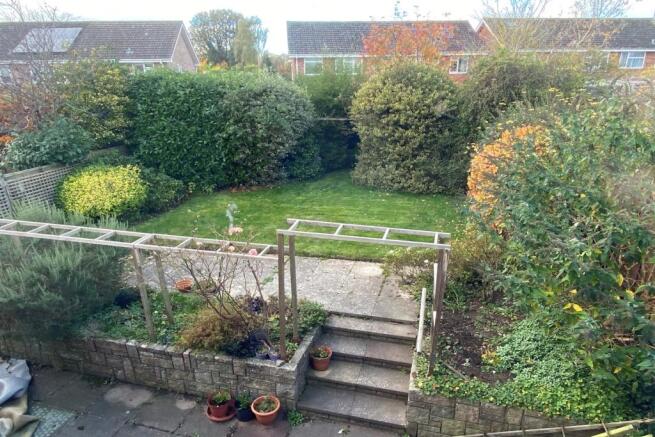 Garden 2