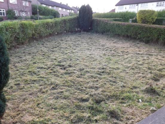 Front Garden