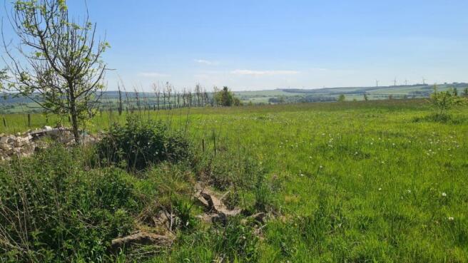 4.9 Acres of Agricultural Land