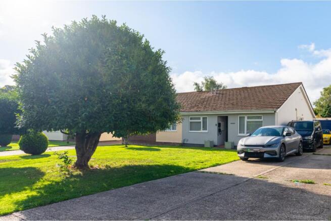 Front View