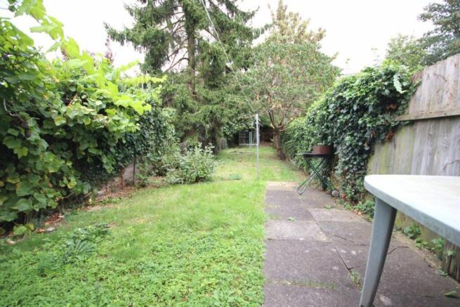Photo 15