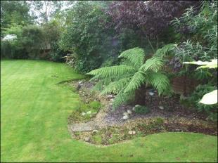 Large rear garden