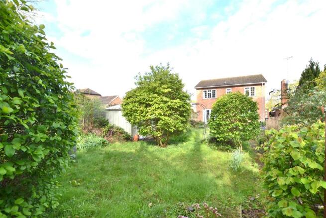 Garden 5.JPG