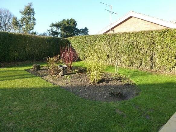 Garden 4